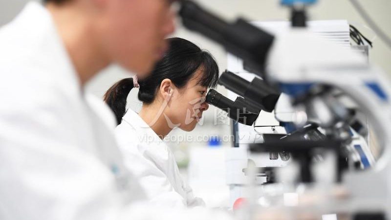 引物合成与修饰：揭秘分子生物学中的关键差异**