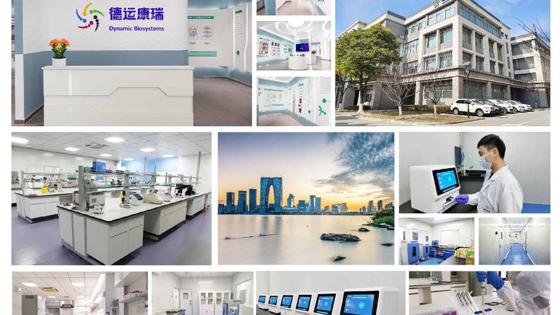 引物合成：精准基因研究的基石**