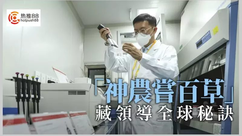 细胞培养：批次培养与灌流培养的优劣解析**