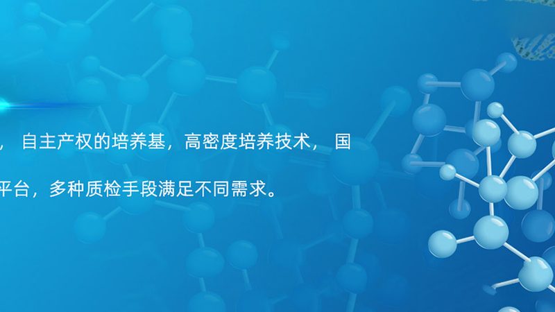 引物合成质量如何保障？关键评估指标解析