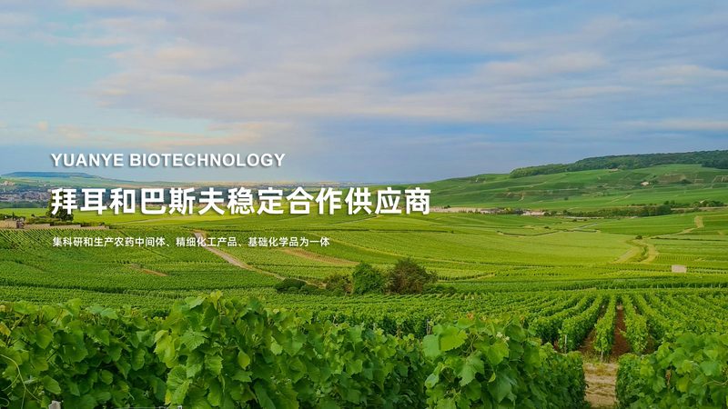 生物制品冷链物流：守护生命科学的“最后一公里”**