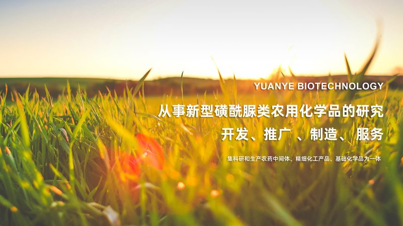 抗体生物制品研发：成本构成与影响因素解析