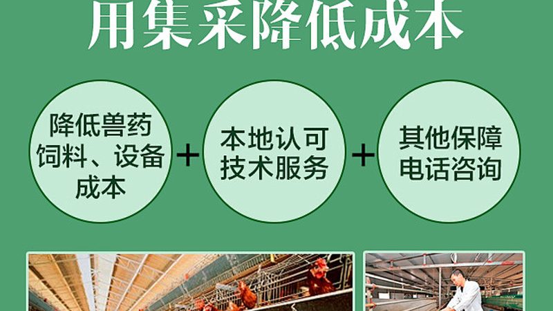 广州引物合成：精准科研的“基石”**