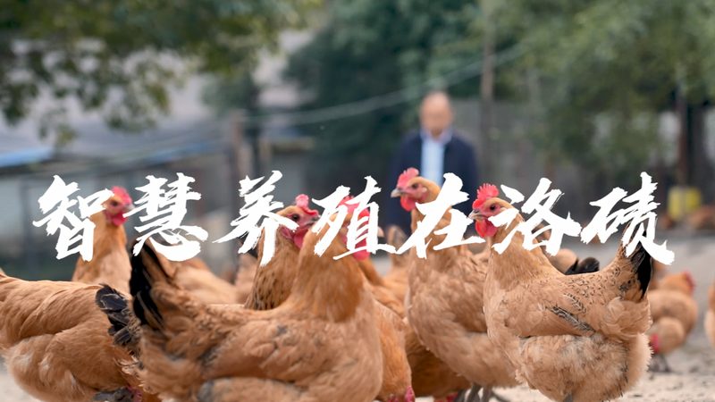 酶技术在食品领域的革新：揭秘其作用与优势