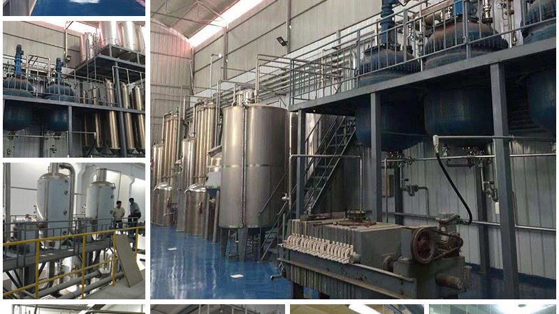 CRo优化流程：揭秘生物制药研发的效率加速器