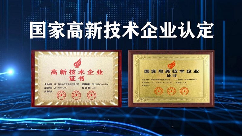 引物合成纯度：生物医药研究中的关键标准
