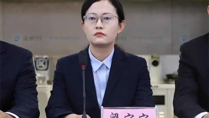 CDMO定制研发：揭秘药物研发的“幕后英雄