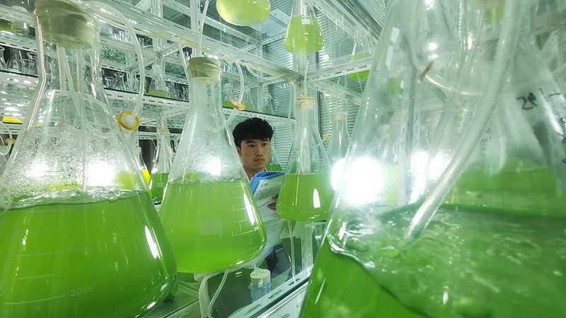 玻璃冷凝管型号解析：揭秘实验室中的“隐形英雄